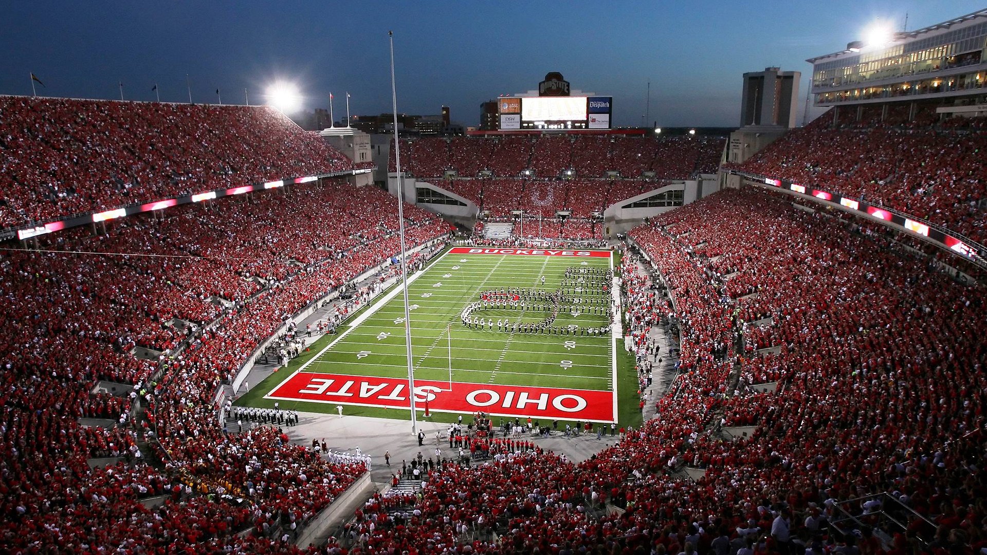 从横扫到执教，樊振东和他的东亚风暴